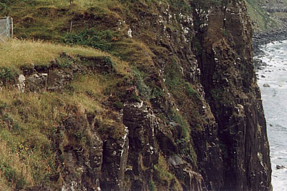 a non-clickable picture of details of the Kilt Rock on the island of Skye