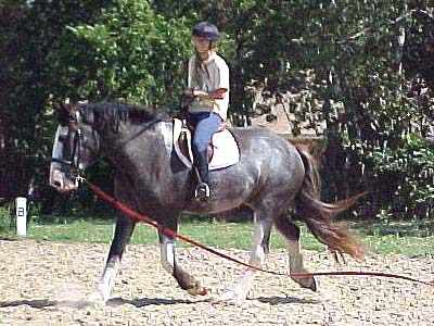 Emma trotting